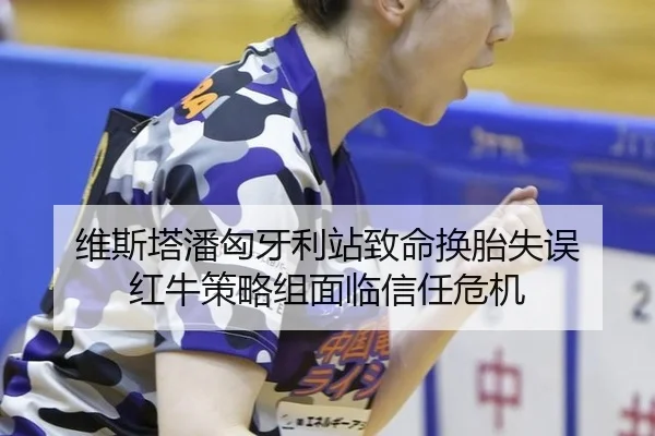 维斯塔潘匈牙利站致命换胎失误 红牛策略组面临信任危机