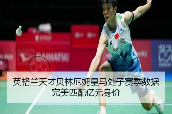 ying-ge-lan-tian-cai-bei-lin-e-mu-huang-ma-chu-zi-sai-ji-shu-ju-wan-mei-pi-pei-yi-yuan-shen-jia-2-368.jpg