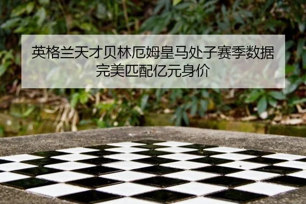 ying-ge-lan-tian-cai-bei-lin-e-mu-huang-ma-chu-zi-sai-ji-shu-ju-wan-mei-pi-pei-yi-yuan-shen-jia-3-614.jpg